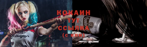 твердый Каменка