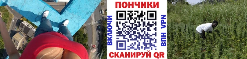 Конопля семена  закладки  Липки 